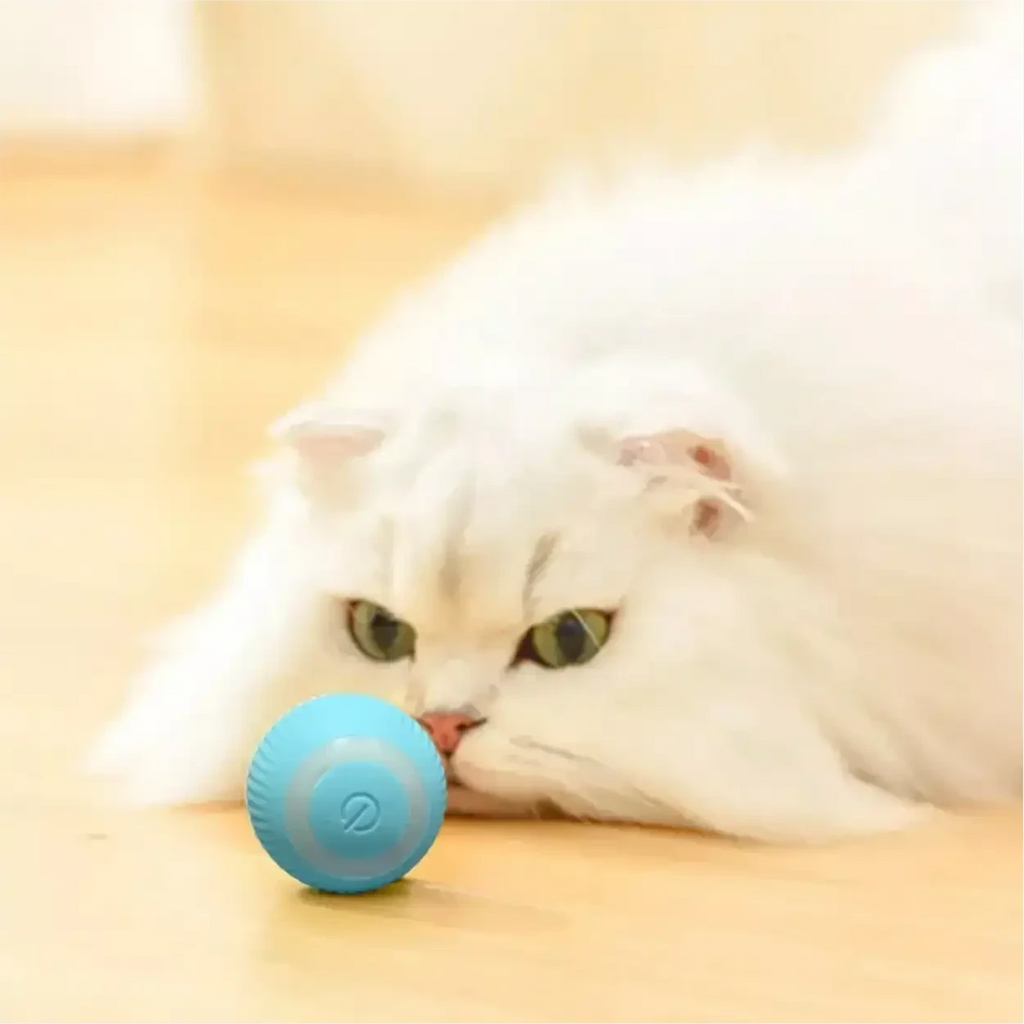 Gato branco brincando com a bola elétrica giratória Decoricasa azul recarregável via USB no chão de madeira