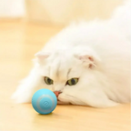 Gato branco brincando com a bola elétrica giratória Decoricasa azul recarregável via USB no chão de madeira