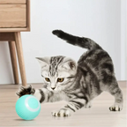 Gatinho cinza brincando com bola elétrica giratória azul da Decoricasa em ambiente interno