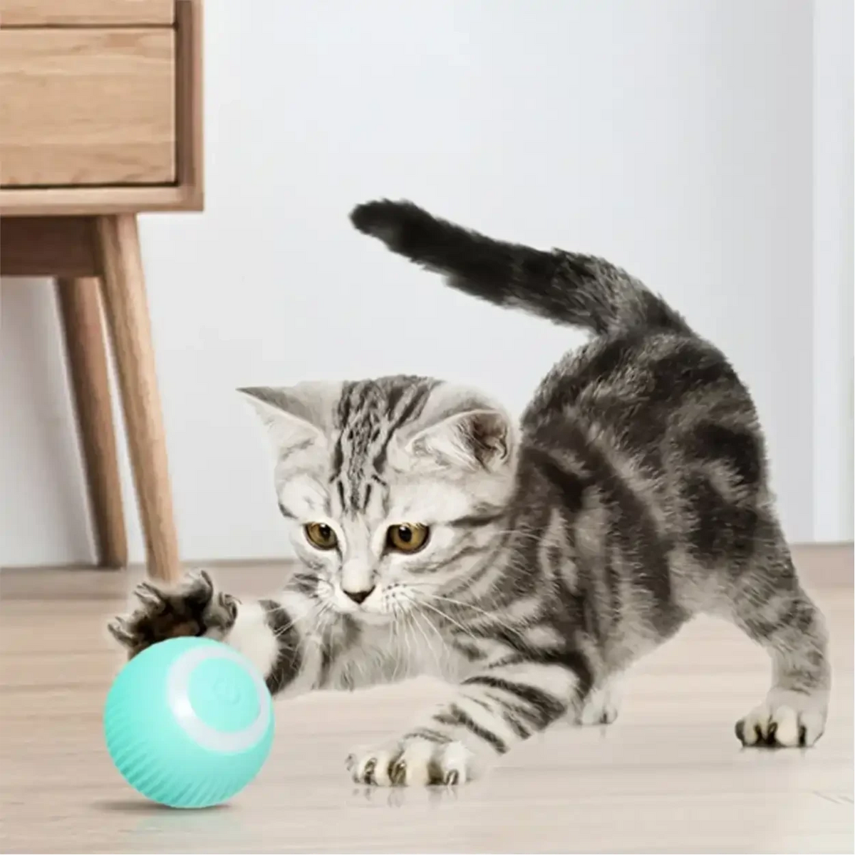 Gatinho cinza brincando com bola elétrica giratória azul da Decoricasa em ambiente interno