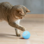 Gato brincando com bola elétrica giratória azul da Decoricasa em piso de madeira