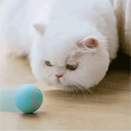 Gato branco observando bola elétrica giratória azul da Decoricasa, brinquedo interativo recarregável para pets