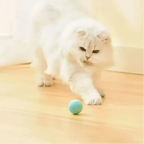 Gato branco de pelos longos brincando com a bola elétrica giratória Decoricasa azul em piso de madeira