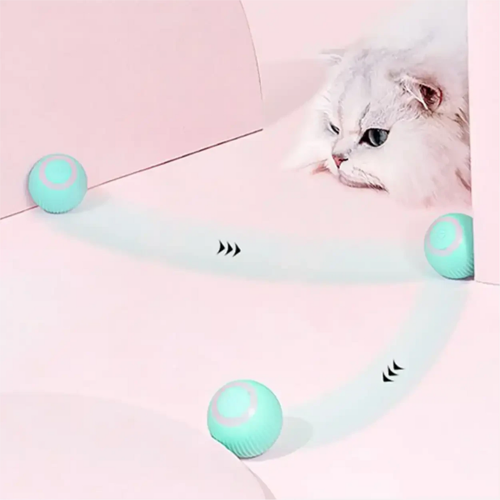 Gato branco observando bola elétrica giratória Decoricasa azul-clara em movimento em ambiente rosa