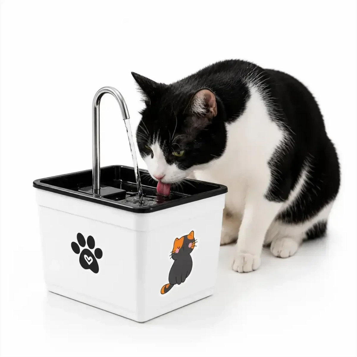 Gato bebendo água em fonte Decoricasa AquaPet Pro branca com estampa de patinha e desenho de gato