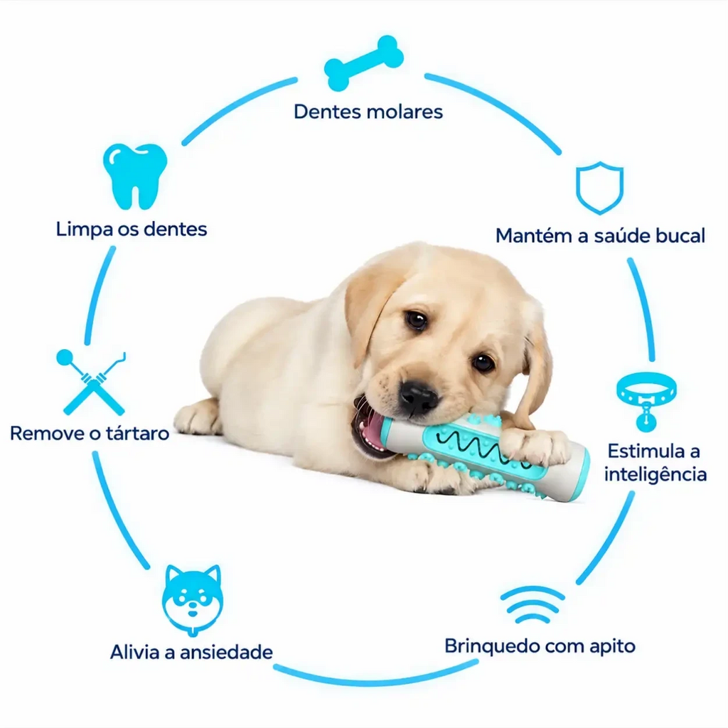 Filhote de labrador brincando com mordedor dental Decoricasa azul e branco em formato de osso com benefícios de saúde
