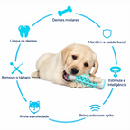 Filhote de labrador brincando com mordedor dental Decoricasa azul e branco em formato de osso com benefícios de saúde