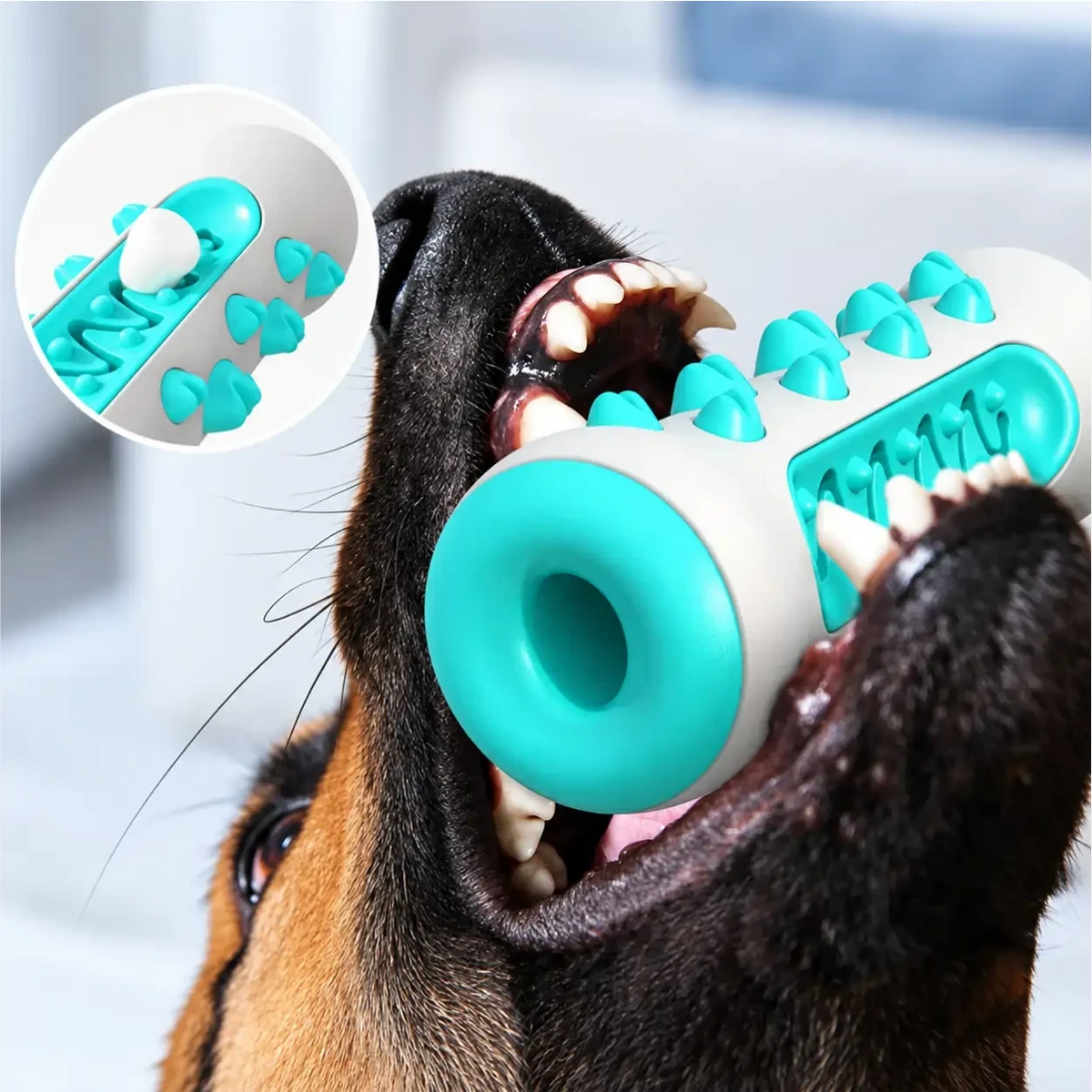 Cachorro mordendo brinquedo dental Decoricasa 3 em 1 de borracha branca e azul para limpeza de tártaro