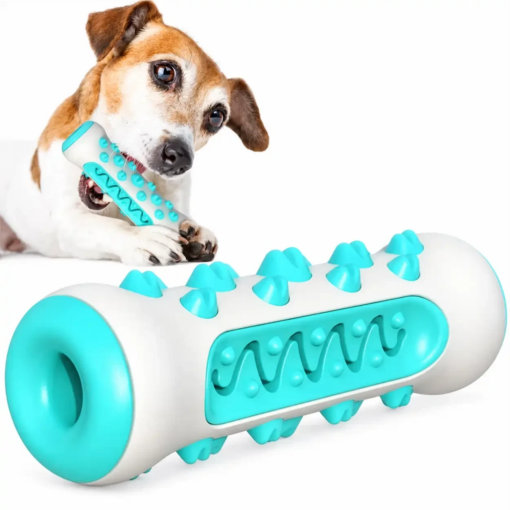 Mordedor dental Decoricasa em formato de osso azul e branco com cerdas para limpeza de tártaro e cachorro brincando