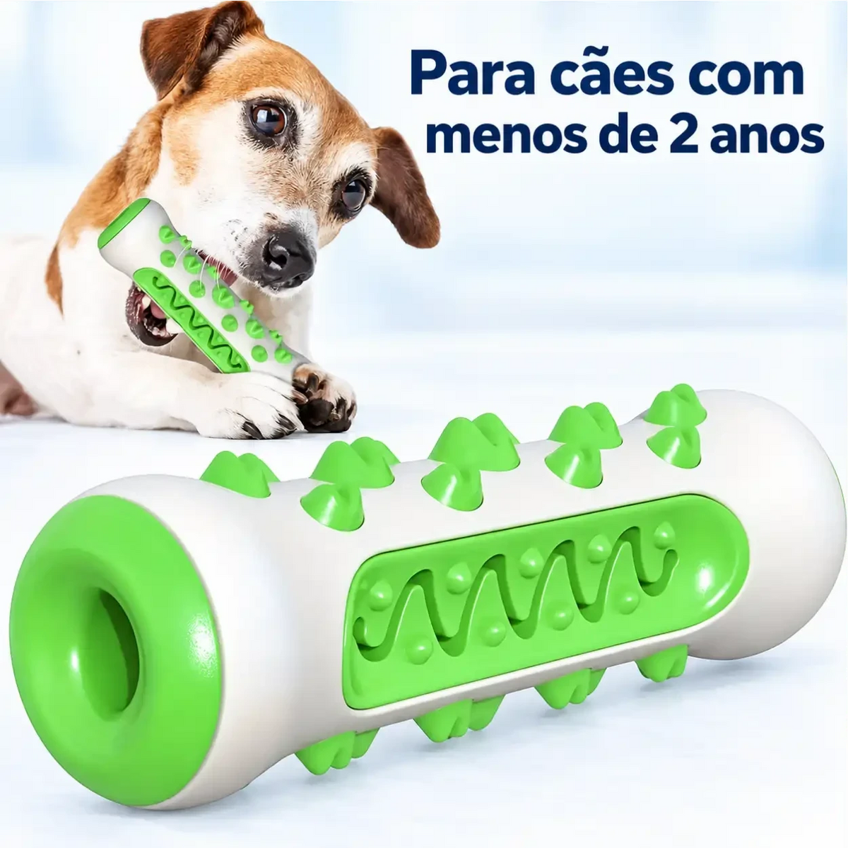 Mordedor dental Decoricasa em formato de osso verde e branco para cães, com cerdas para limpeza e massagem gengival.