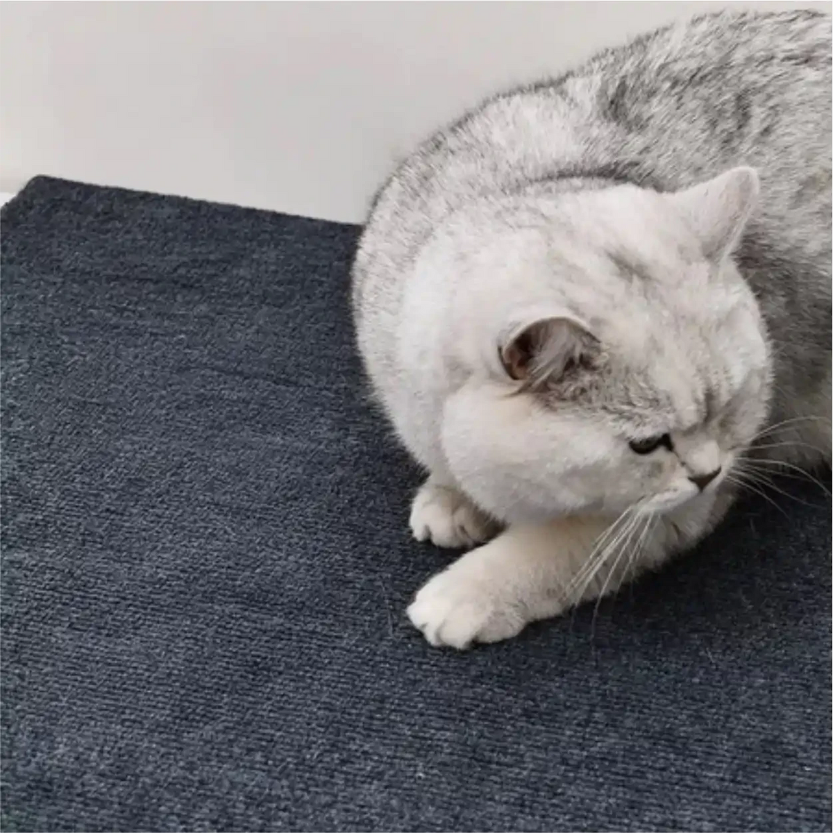 Tapete arranhador Decoricasa cinza escuro autoadesivo para proteção de sofás com gato sentado sobre a superfície
