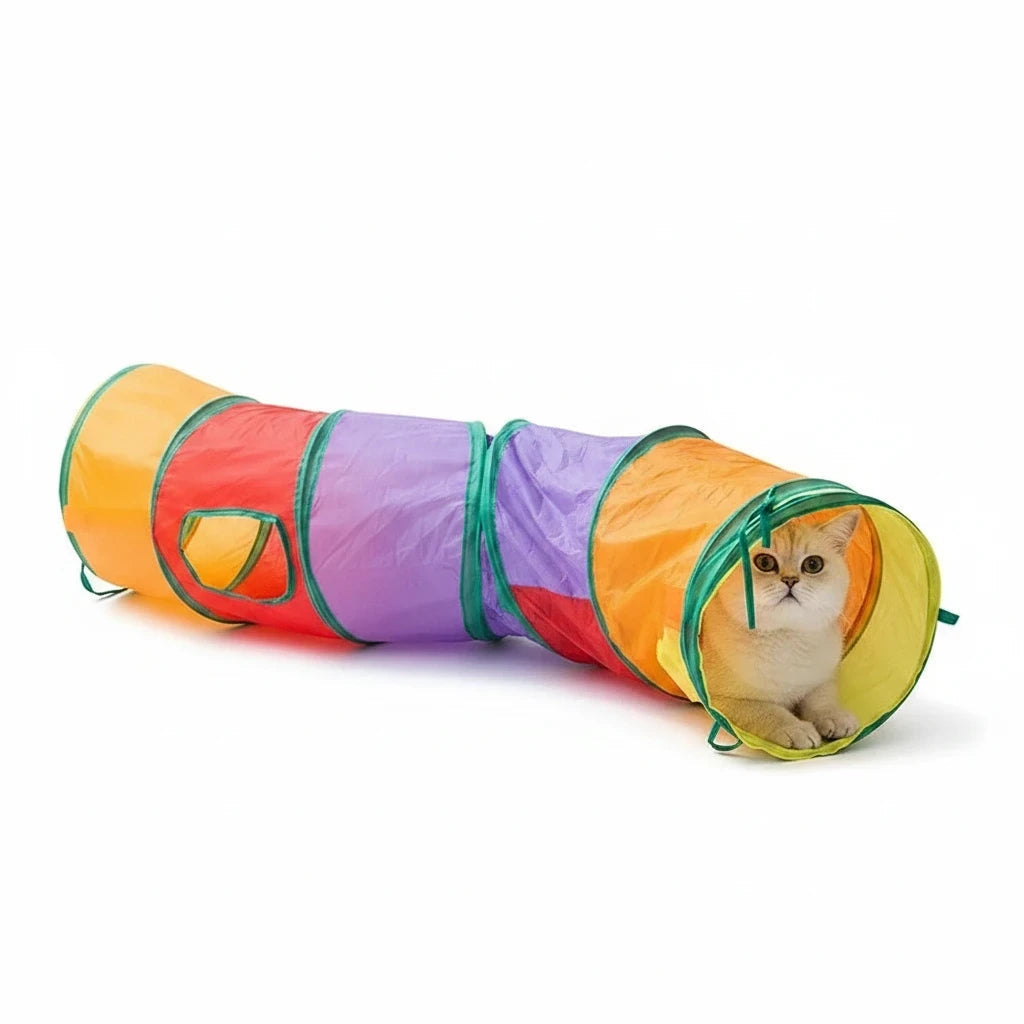 Gato dentro de um túnel labirinto dobrável e colorido da Decoricasa, ideal para brincadeiras interativas de pets.