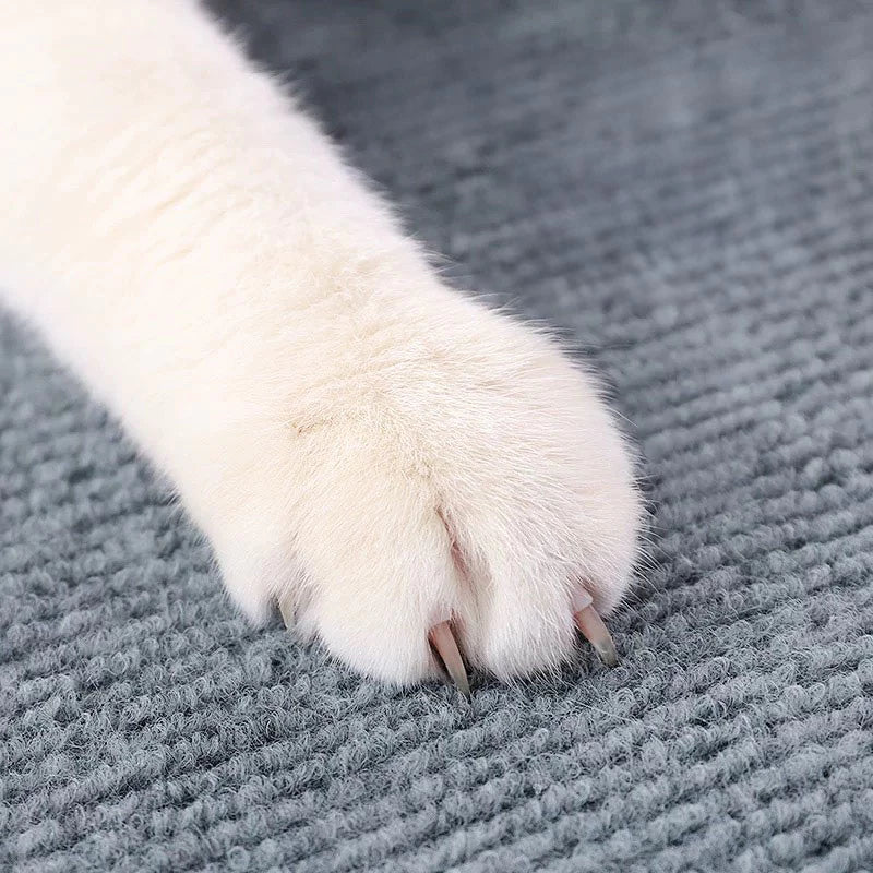 Pata de gato com unhas aparentes sobre tecido cinza, ilustrando o uso do protetor de sofá Decoricasa